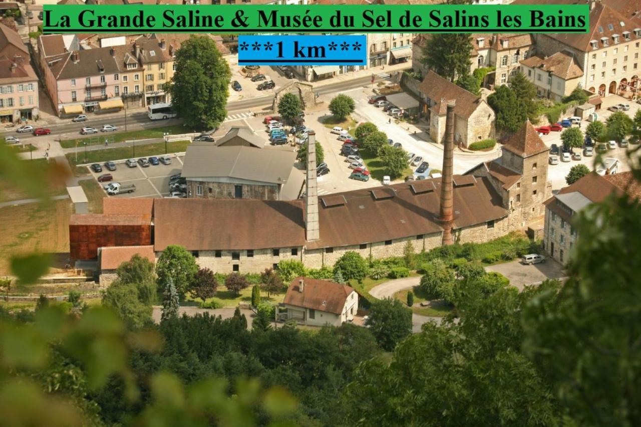 Appartement Cosy 36 Salins Les Bains Екстериор снимка